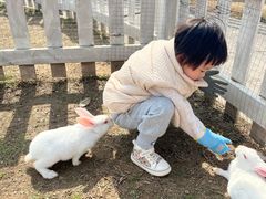 -前小桔亲子创意农场·草莓采摘·露营烧烤