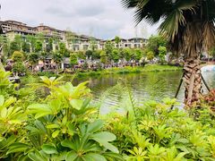 -枫香湖儿童公园