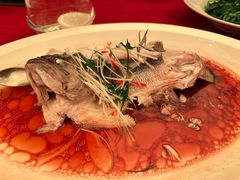 -洲际酒店·凌霄中餐厅SUMMIT