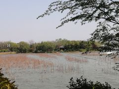 -云龙湖旅游景区