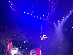 -珠海横琴长隆《卡卡虎奇遇记》