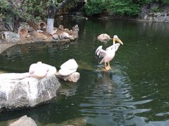 -昆明动物园