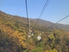 -紫金山山顶公园