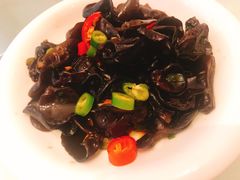 美极小木耳-渝信川菜(工体店)