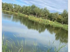 -东郊湿地公园