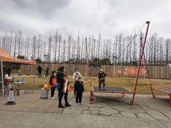 -前小桔亲子创意农场·草莓采摘·露营烧烤