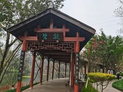 -重庆彩云湖湿地公园