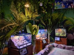 -酷嗒动物文化乐园(cutezoo西溪乐天城店)