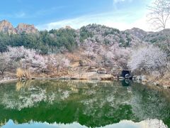 -北京凤凰岭
