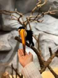 -Zoolung Zoolung动物主题公园(海信广场店)