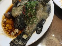 -百年银屏蚝烙·潮汕菜·非遗(乐山店)