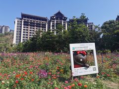 -清远熹乐谷温泉度假酒店