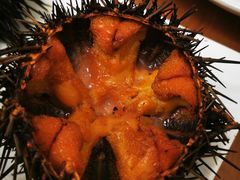 -海胆小馆(东北水饺·春柳店)