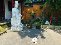 -灵谷景区