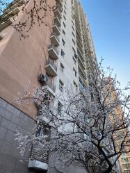 -自然美Natural Beauty