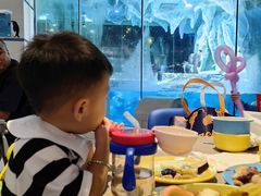 -帝企鹅自助餐厅•儿童岛•真企鹅(长隆企鹅酒店)