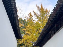 -西园戒幢律寺