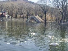 -石家庄市动物园