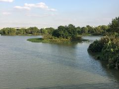 -九里河湿地公园