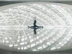 -凤凰中心
