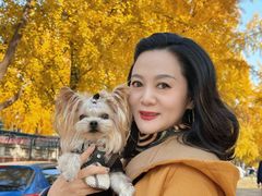 -三里屯东五街银杏大道
