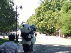 -丽池公园