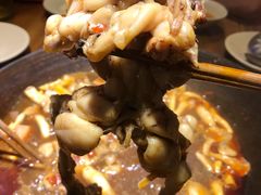 -老天桥蛙炉火锅(姑苏总店)