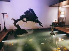 -觀芷隐轩·宋宴(河坊街店)