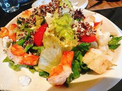 -Efes Turkish & Mediterranean Cuisine 艾菲斯餐厅(陆家嘴店)