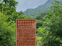 -龙道沟景区
