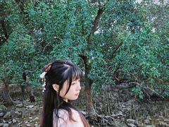 -宝安西湾红树林湿地公园