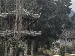 -石台牯牛降景区