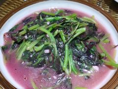 -广信传说