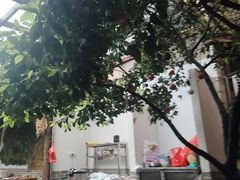 -李东农庄(中南百草园地标店)