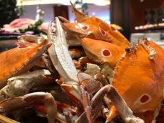 -重庆丽苑维景国际大酒店·海鲜自助餐厅
