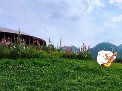 -云漫湖生态度假公园