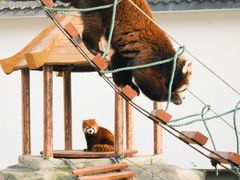 -杭州野生动物世界