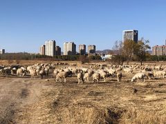 -赛汗塔拉风情园