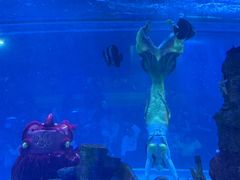 -顺德南宏海立方海洋公园