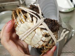 -七星龙虾城·海鲜·大闸蟹(吴江店)