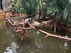 -长鹿旅游休博园