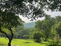 -番禺大夫山森林公园