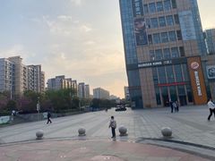 -紫荆广场·花漫里