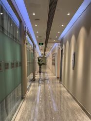 -上海首尔丽格医疗美容医院