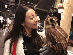 -清迈夜间动物园