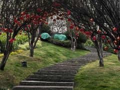 -七彩云南古滇温泉山庄