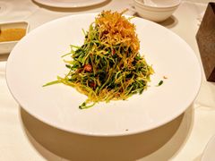巧拌豆苗-四季民福烤鸭店(故宫店)
