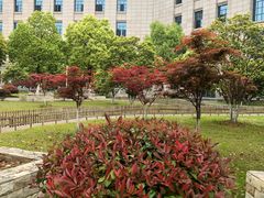 -中兴通讯股份有限公司南京研发中心-停车场