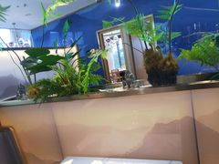 -马家斑.鲜鱼火锅(松湖万科店)