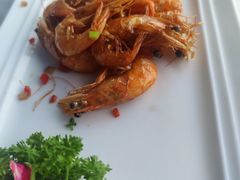-云中小雅
